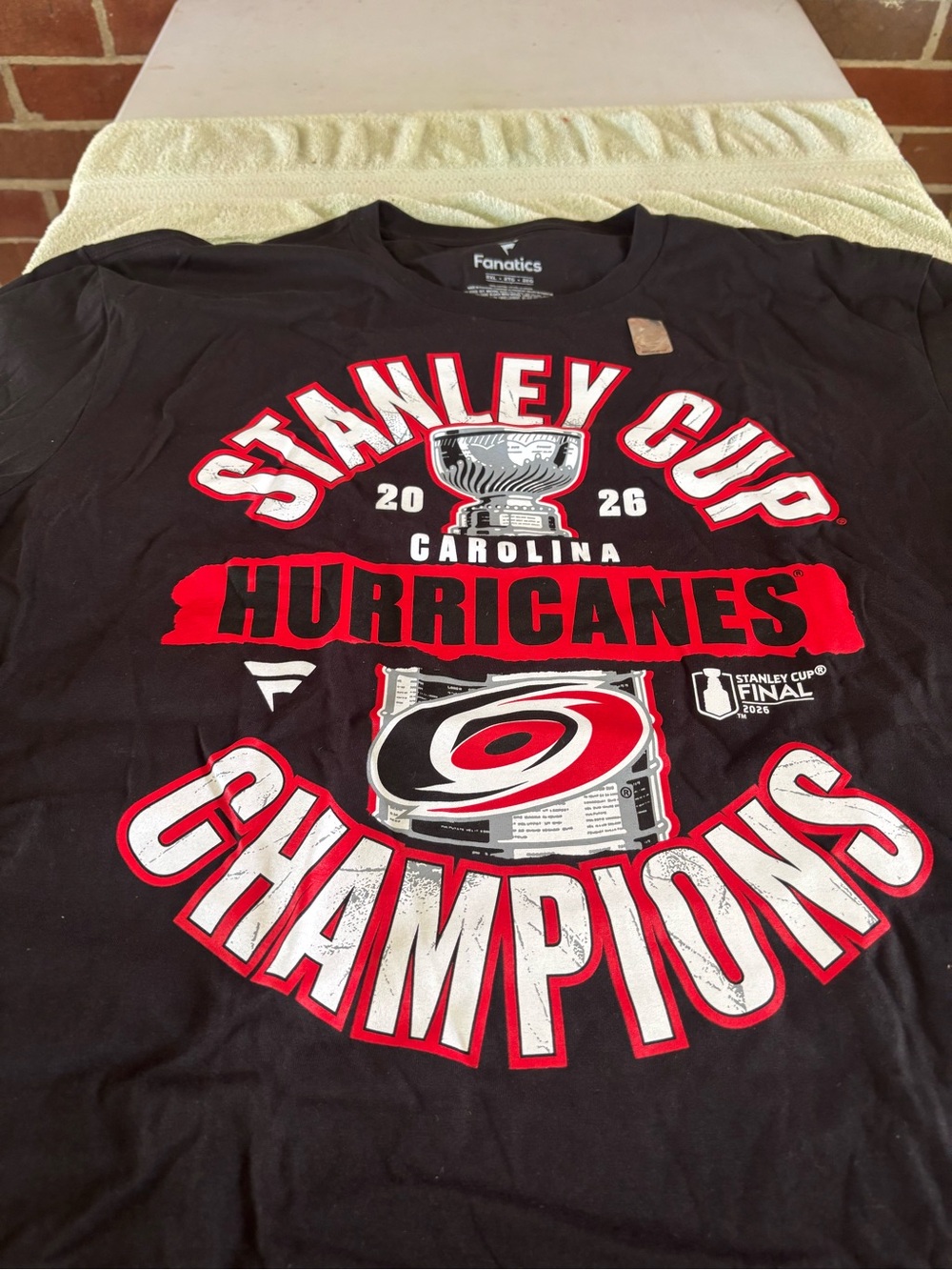 Carolina Hurricanes Stanley Cup Champions 2026 black cotton t-shirt